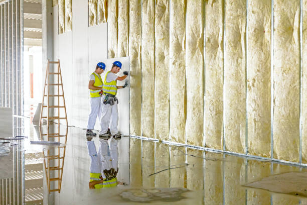 Best Blown-in Insulation in Red Corral, CA